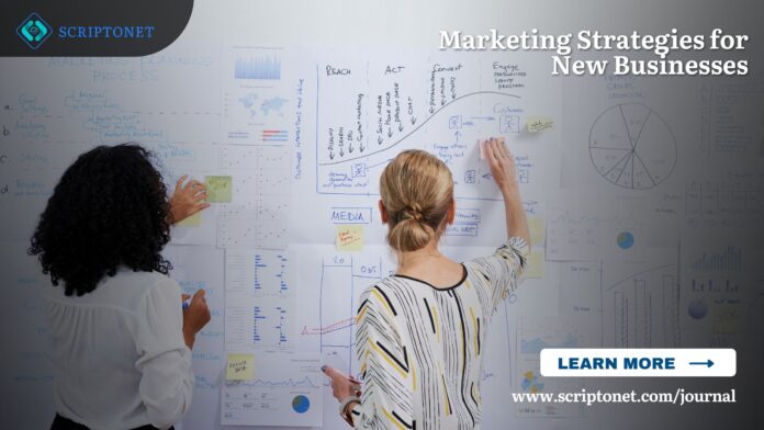 Marketing Strategies Guide for Website Development Companies