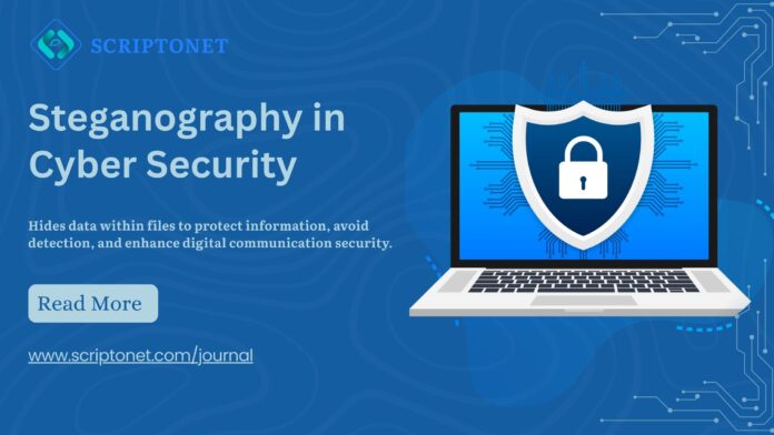 Steganography in cyber security