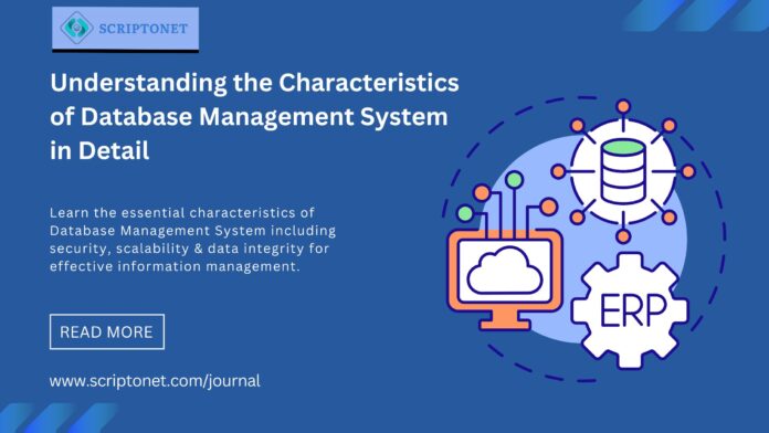 characteristics of database management system