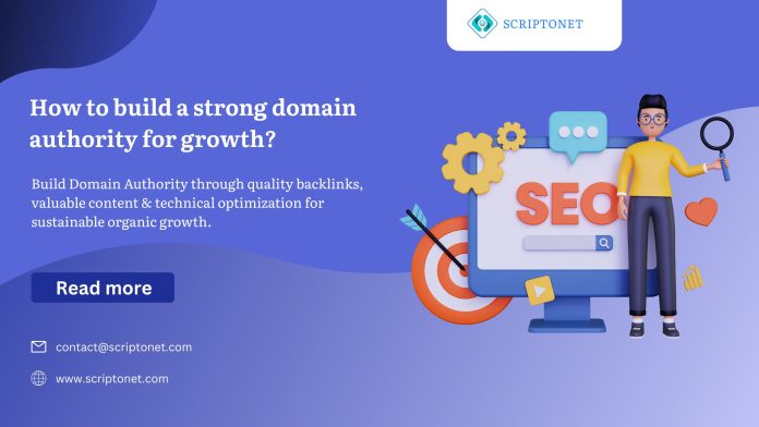 Domain Authority in SEO