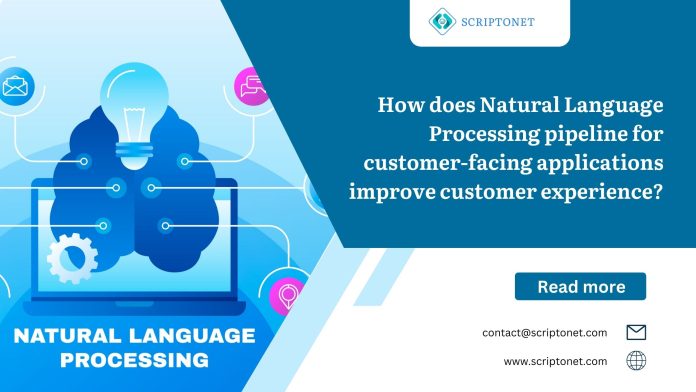 natural language processing pipeline