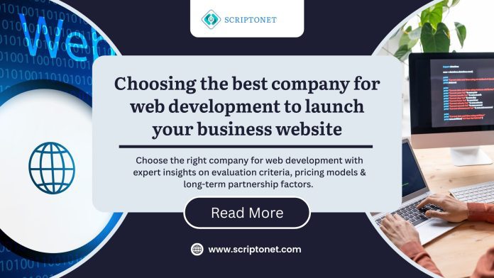 company for web development