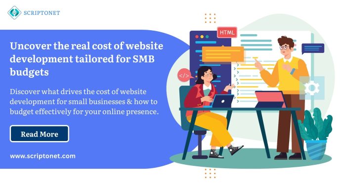 cost of website development