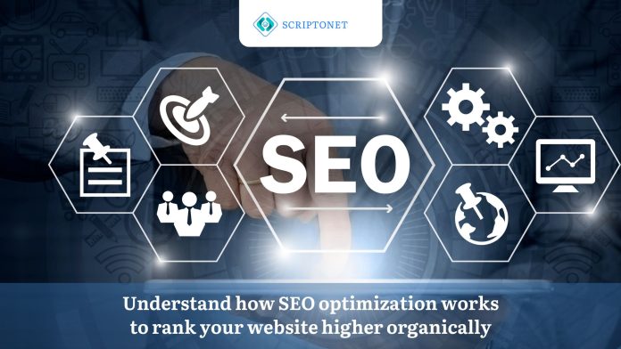 Seo optimization works